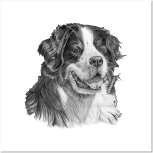 Bernese mountain dog Posters and Art